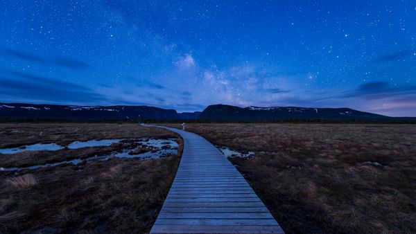 Boardwalk on hiking trail to Western Brook Pond in Gros Morne National Park