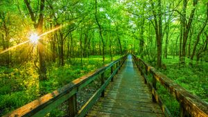 Natchez Trace Parkway, Tupelo, Mississippi, USA (© The best photo is earned/Getty Images Plus)(Bing United States)