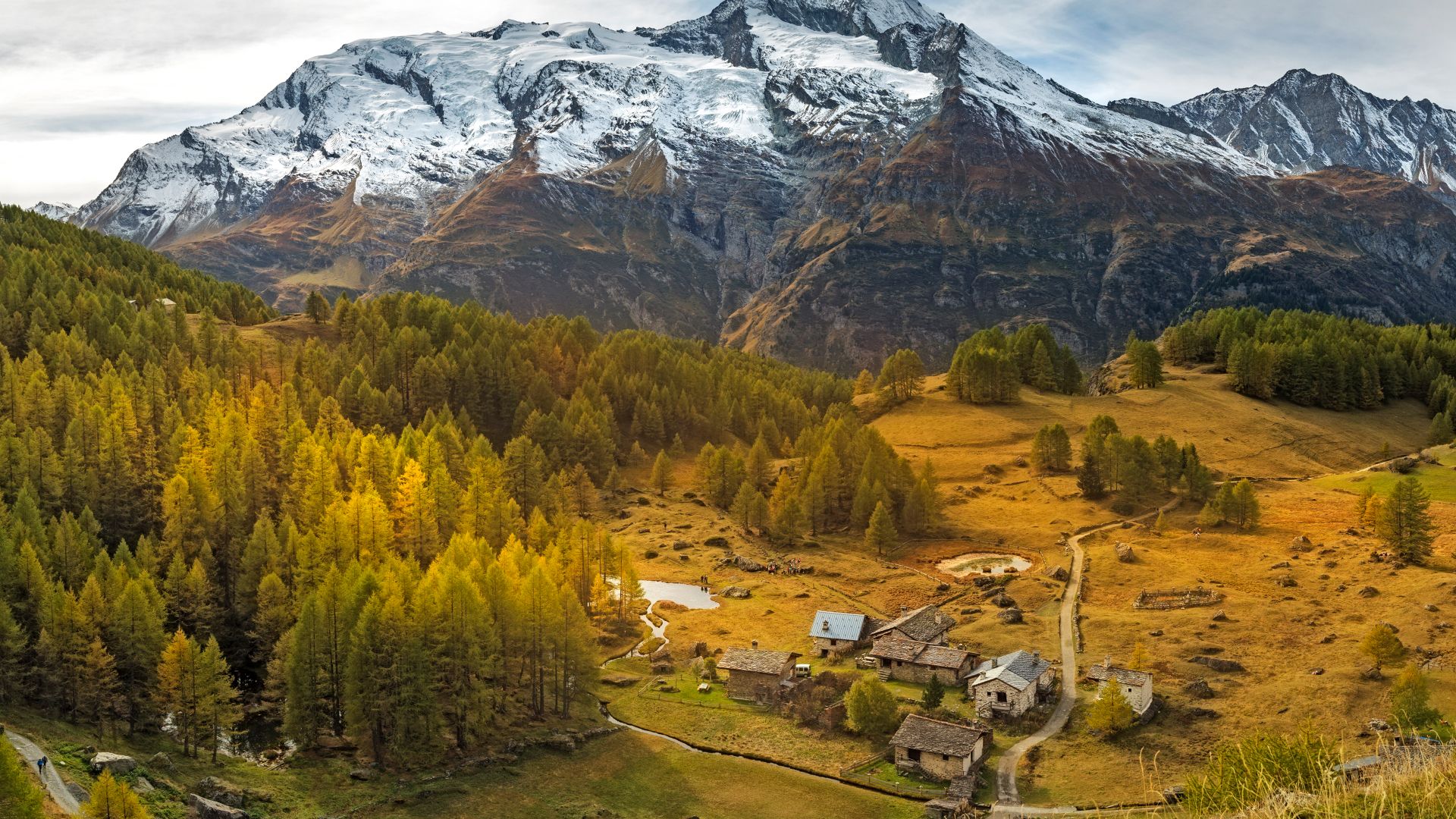 Forêt de mélèzes dorés, Alpes