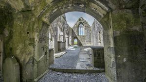 Ruins of Ross Errilly Friary, County Galway, Ireland (© Maria Janus/Shutterstock)(Bing United States)