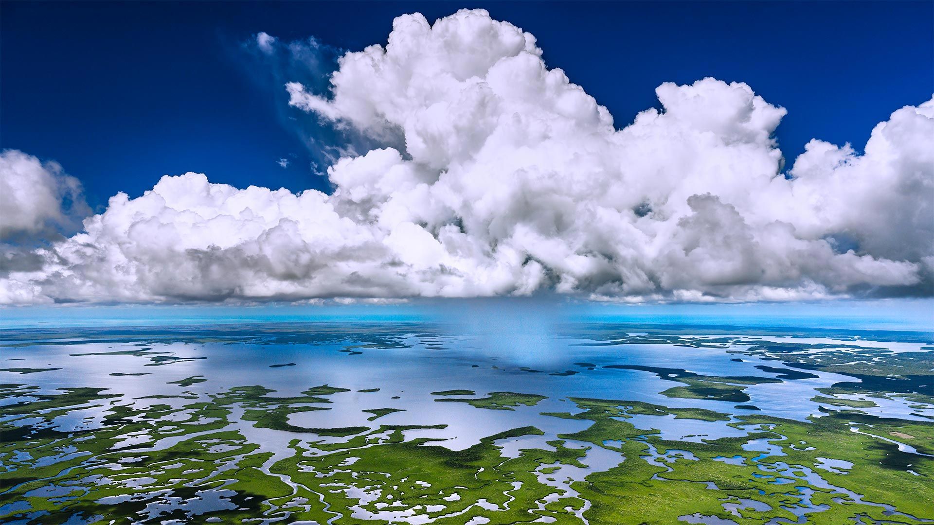 Aerial view of Everglades National Park, Florida, USA