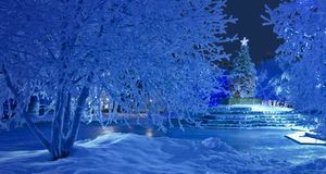 Nighttime view of the Christmas tree and blue light decorations in Anchorage's Town Square, Alaska -- Kevin G. Smith/age fotostock &copy; (Bing United States)