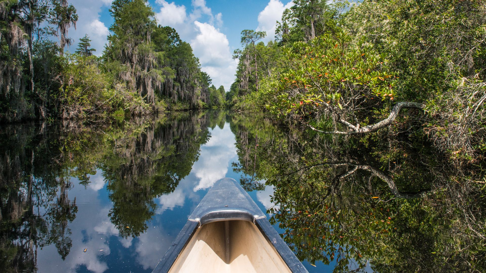 Canoe paddling in Okefenokee National Wildlife Refuge, Georgia
