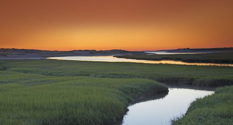 CapeCod