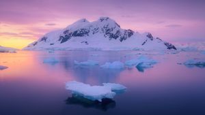 天堂湾，南极洲 (© SinghaphanAllB/Getty Images)(Bing China)
