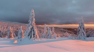 Scène hivernale dans les montagnes et soleil couchant, France (© Michal Balada/iStock/Getty Images Plus)(Bing France)