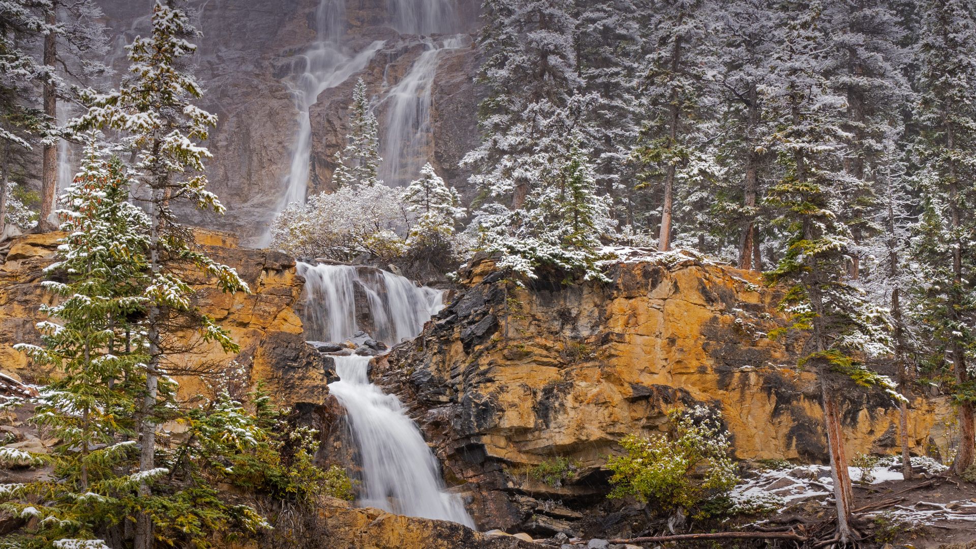 Tangle Creek Falls, Jasper National Park, Alberta, Canada