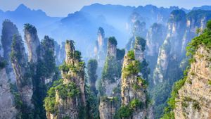 ｢張家界国家森林公園｣中国, 湖南省 (© aphotostory/Shutterstock)(Bing Japan)