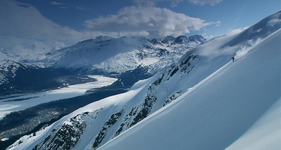 Skier