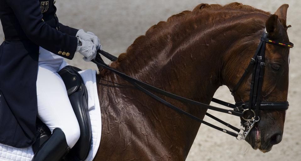 HorseDressage