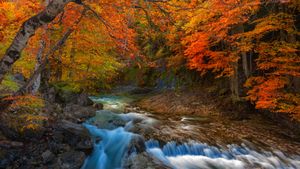 Equinoccio de otoño en la Pradera de Ordesa, Huesca (© Susana Guzman/Alamy Stock Photo)(Bing España)