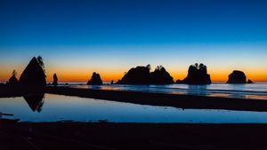 Shi Shi Beach in Olympic National Park, Washington (© T.M. Schultze/TANDEM Stills + Motion)(Bing United States)