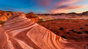 The Fire Wave, a rock formation in Valley of Fire State Park, Nevada, USA (© Clint Losee/Tandem Stills + Motion)(Bing New Zealand)