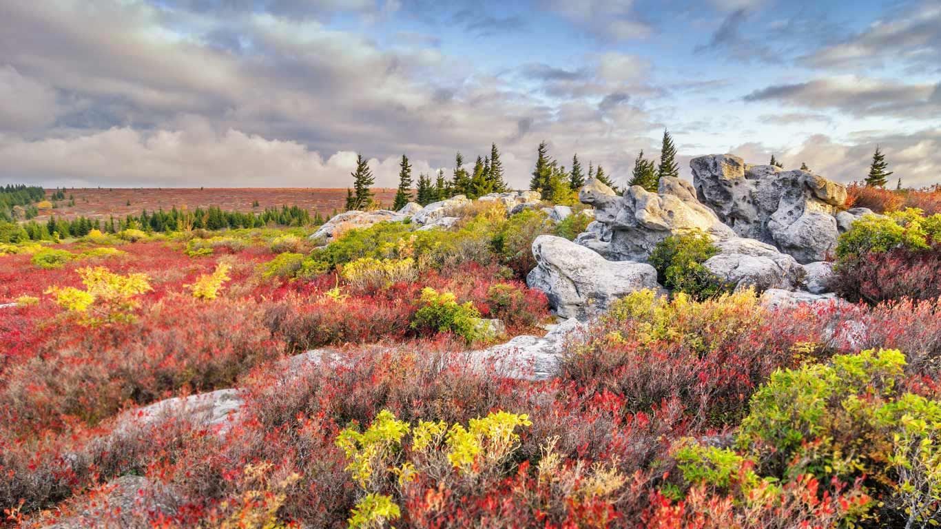 Bear Rocks Preserve in the Dolly Sods Wilderness, West Virginia, USA