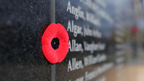 Poppies sit by names on a memorial wall during Remembrance Day in Kingston, Ont.