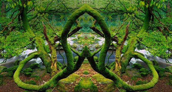 KillarneyNP