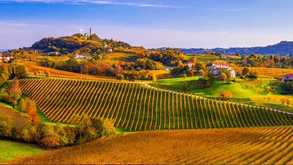 Colline del Prosecco di Conegliano e Valdobbiadene, Veneto, Italia