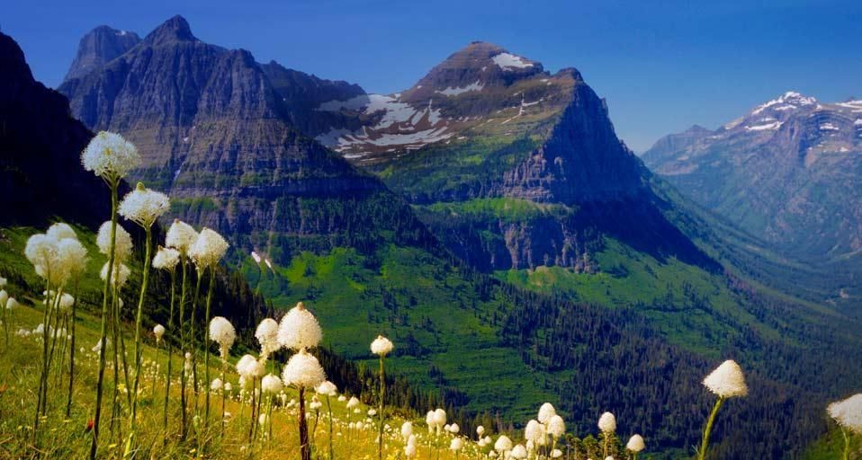 GlacierNatlPark