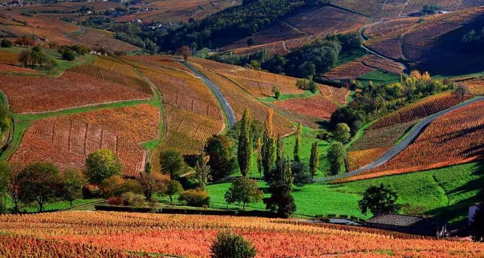 BeaujolaisLandscape