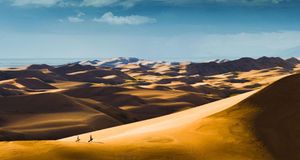 Sandboarders hiking up dunes for another ride, Great Sand Dunes National Park, Colorado (© Glenn Oakley/Aurora Photos) &copy; (Bing United States)