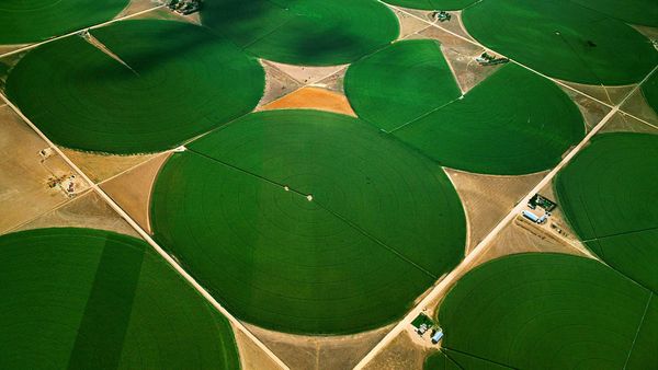 Circular agricultural fields in Morgan County, Colorado, USA