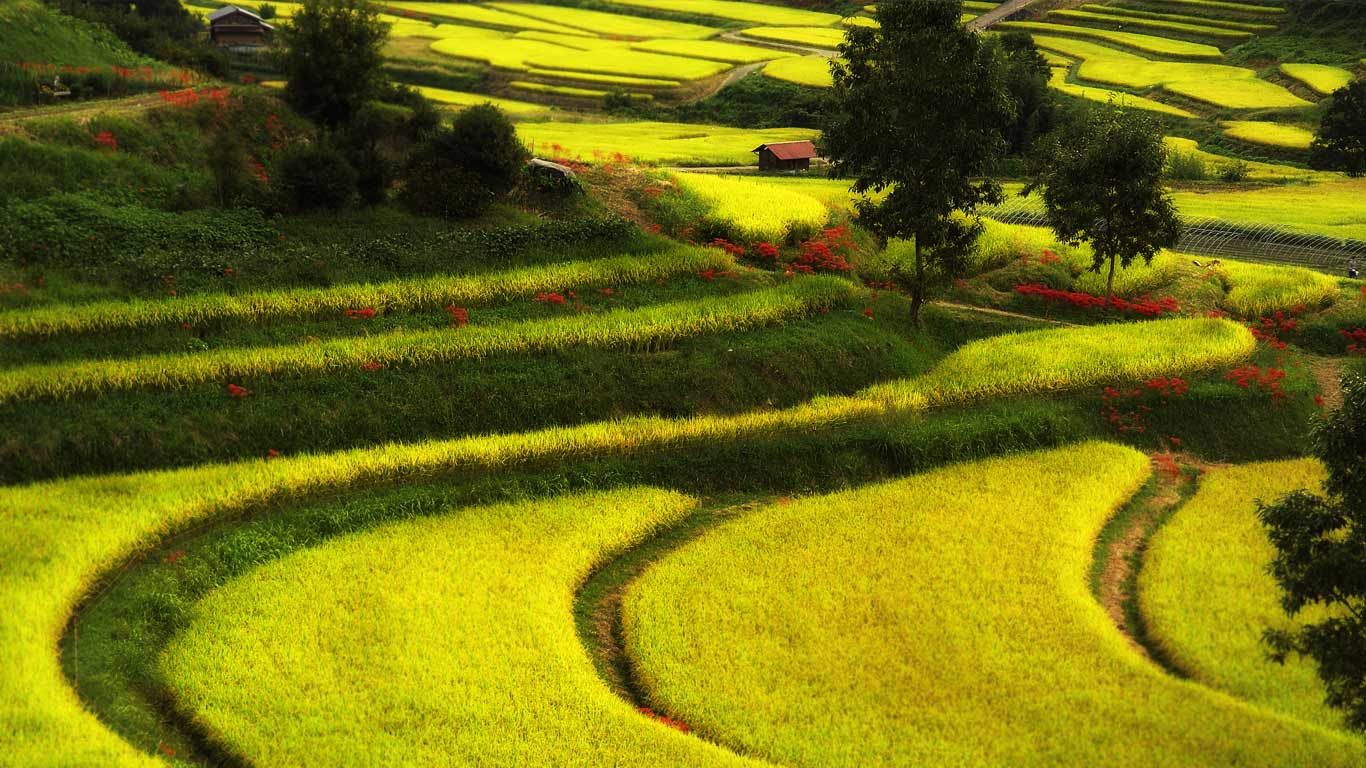 Asuka, Japan
