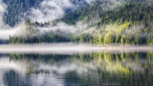 Fjord with fog, Khutzeymateen Provincial Park (© Westend61 GmbH/Alamy)(Bing Canada)
