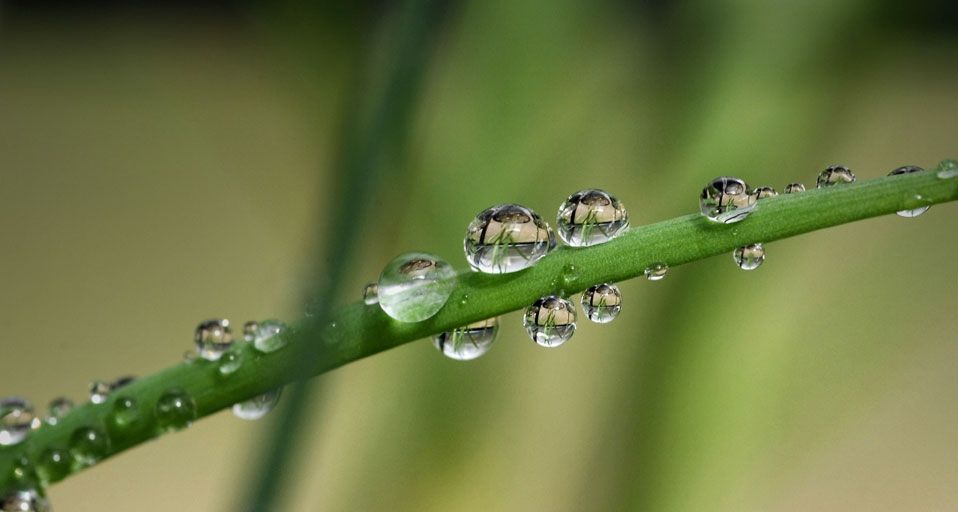 WaterDrops