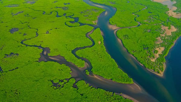 Amazon River, Brazil