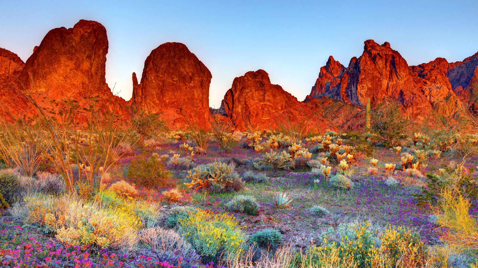 Kofa National Wildlife Refuge, Arizona, United States