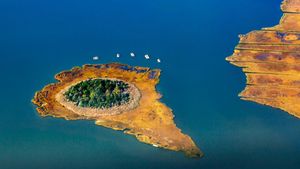 莫尼博克湾的芦苇岛，纽约长岛 (© Claudia Uripos/eStock Photo)(Bing China)
