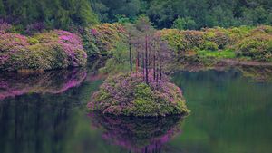 Small loch in Glen Etive, Scotland (© Oliver Hellowell/Minden Pictures)(Bing Australia)