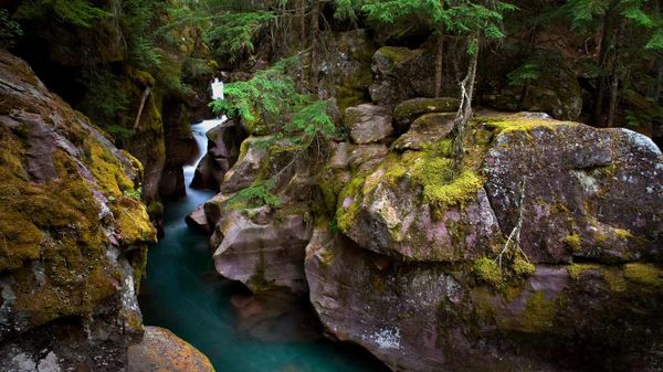 Avalanche Creek in Glacier National Park, Montana, USA