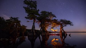 Hammock camping on a lake in Central Florida (© Mac Stone/Tandem Stills + Motion)(Bing Australia)