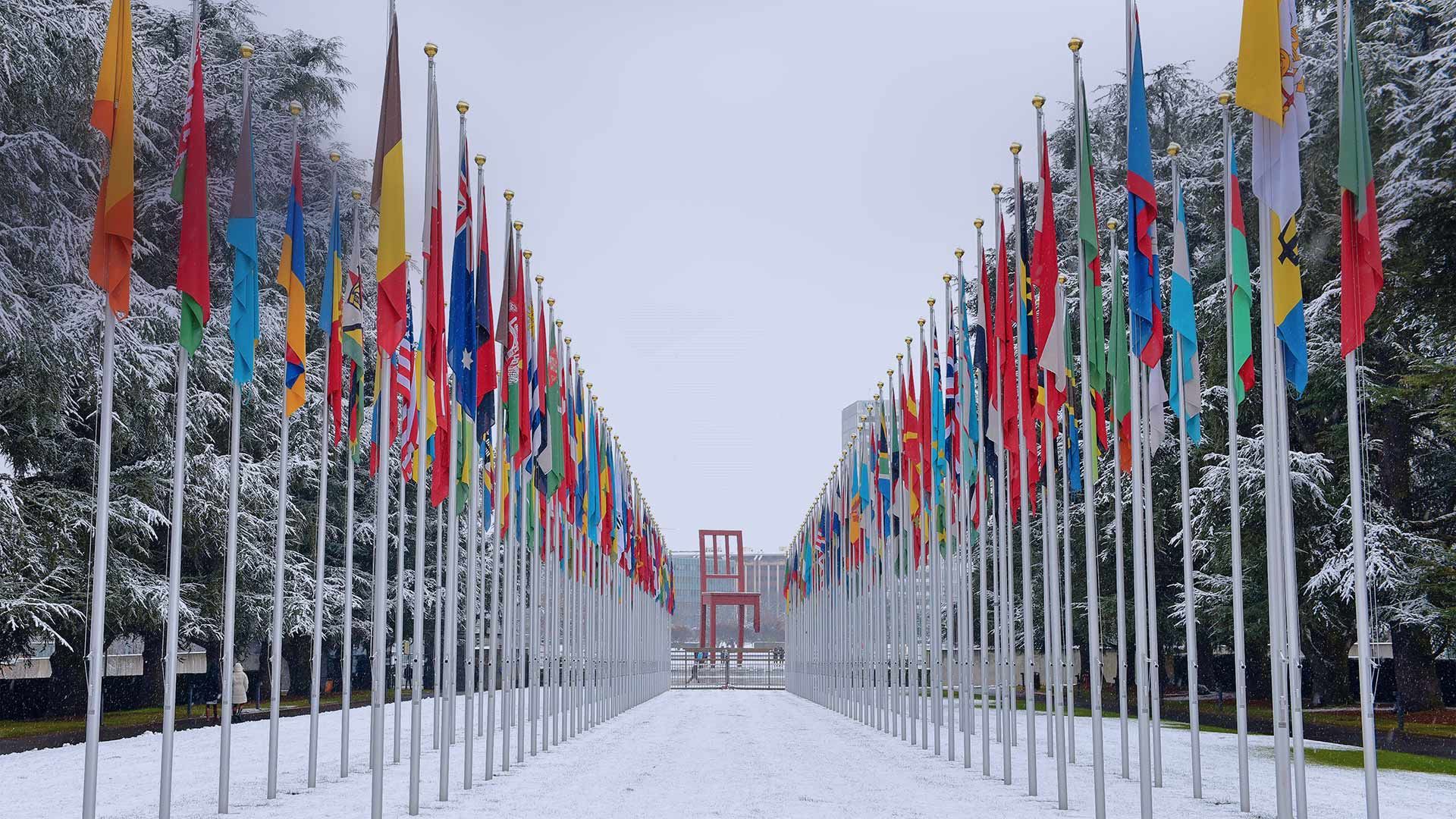 Flags outside the UN\'s Palace of Nations in Geneva, Switzerland