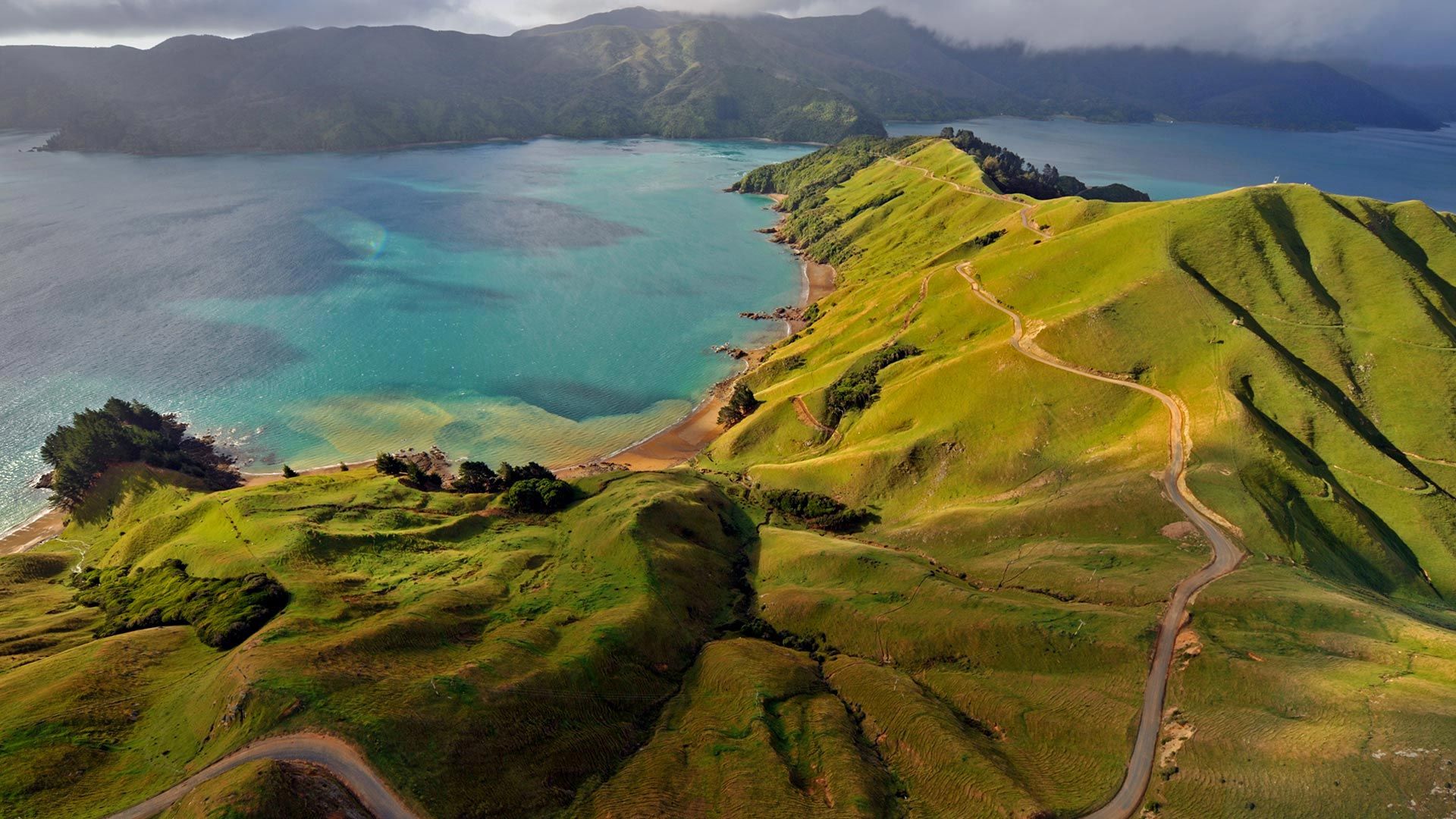 Aerial view of Marlborough Sounds, New Zealand