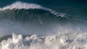 Rodrigo Koxa sur la plus grande vague jamais surfée le 8 novembre 2017, Nazaré, Portugal (© Pedro Cruz/AP Photo)(Bing France)