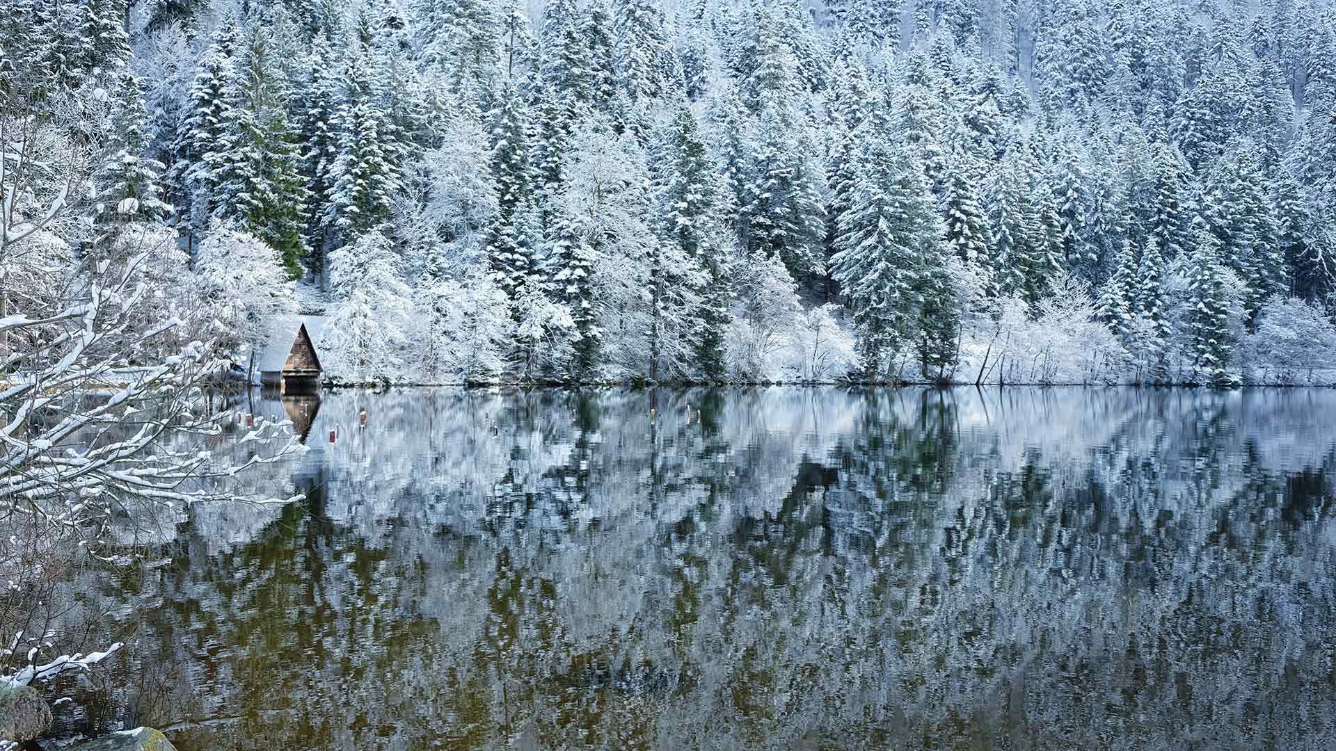 Le lac de Longemer dans les Vosges, Lorraine, France.