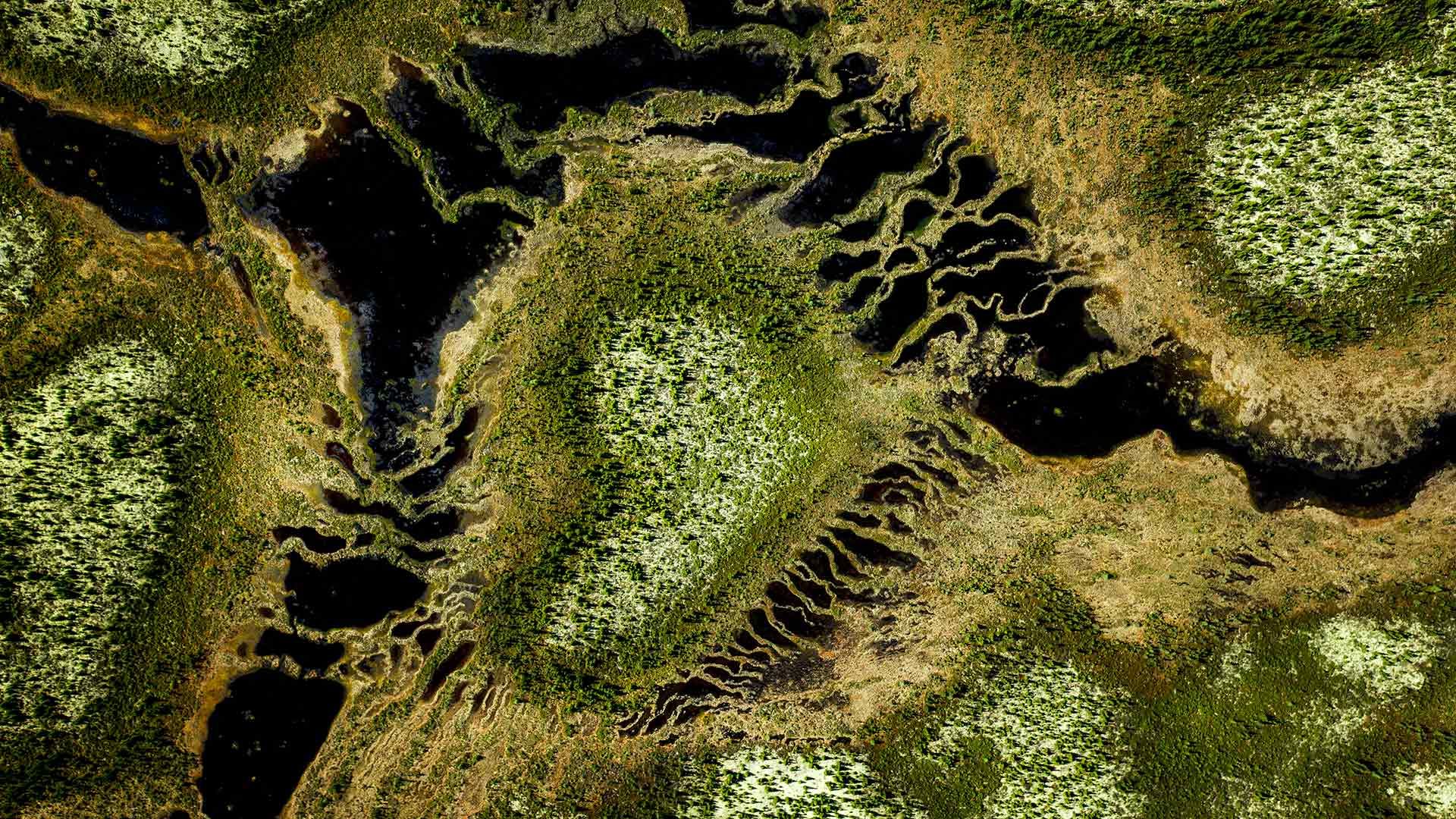 Boreal forest at Trans-Taiga Road region in Northern Quebec