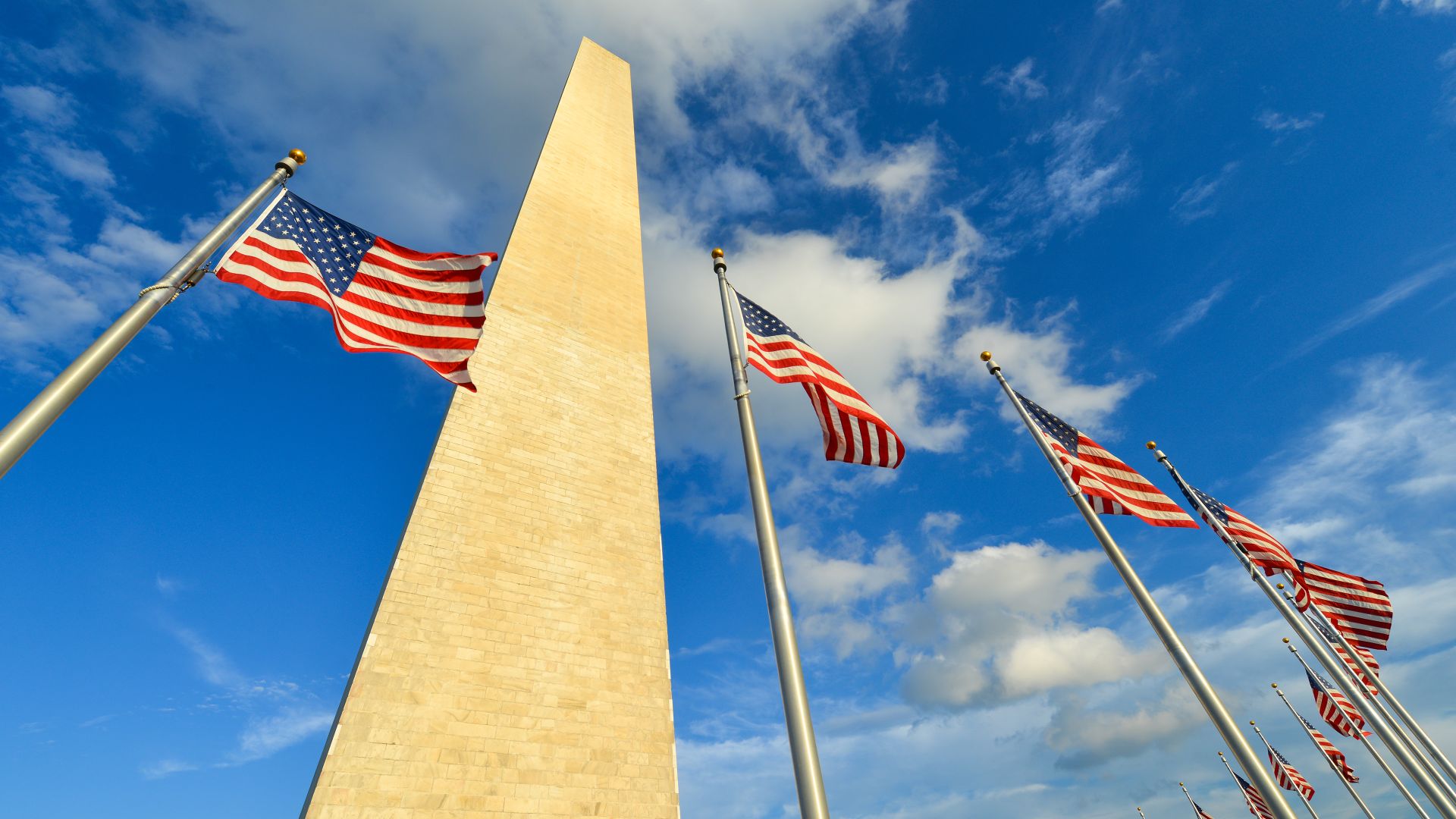 US flags surrounding the Washington Monument, Washington, DC