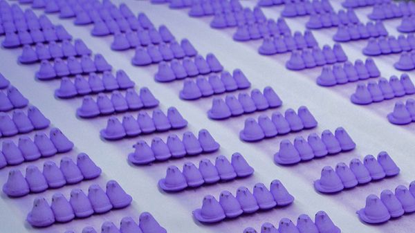 The marshmallow PEEPS® factory in Bethlehem, Pennsylvania, USA