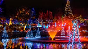 Festival of Lights, VanDusen Botanical Garden, Vancouver (© Wiliam Perry/Alamy Stock Photo)(Bing Canada)