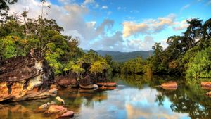 Masoala National Park in Madagascar (© Dennis van de Water/Shutterstock)(Bing New Zealand)