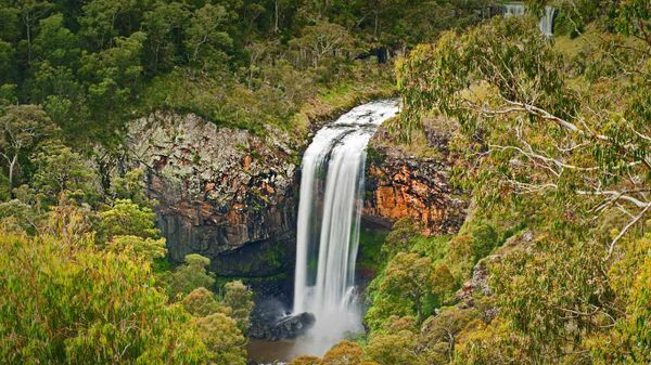 Ebor Falls in the Guy Fawkes River National Park of Australia