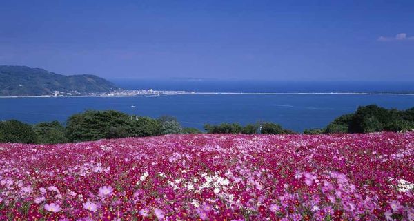 ｢のこのしまアイランドパーク｣福岡, 能古島