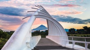Te Rewa Rewa Bridge, près de la ville de New Plymouth, Nouvelle-Zélande (© Matthew Williams-Ellis/Aurora Photos)(Bing France)