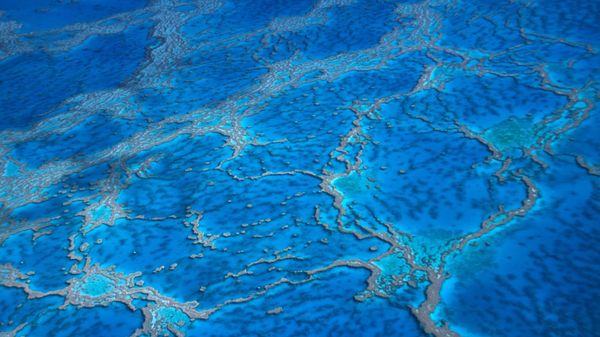 Aerial view of the Great Barrier Reef, Queensland, Australia