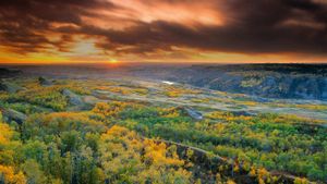｢ドライ・アイランド・バッファロー・ジャンプ州立公園｣カナダ, アルバータ州 (© Darwin Wiggett/Alamy)(Bing Japan)