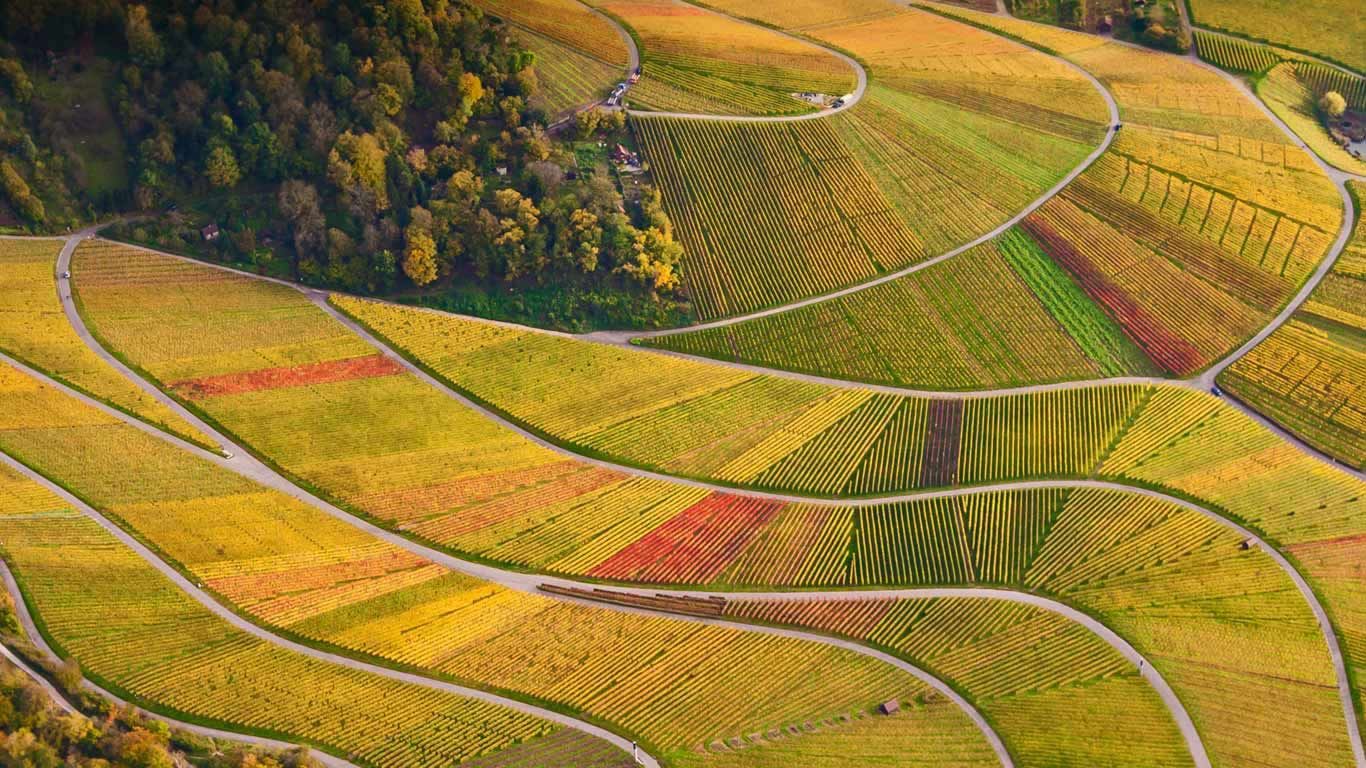 Vignobles du Pays-de-Bade, Allemagne