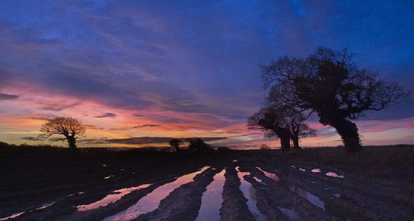 NorfolkSunset